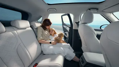 BYD Atto 2 DM-i — official interior photo