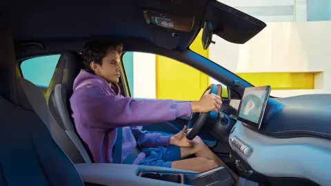 BYD Dolphin Surf — official interior photo
