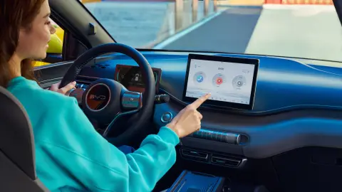 BYD Dolphin Surf — official interior photo